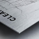 Clearwater portrait 2 3 Metal print