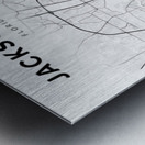 Jacksonville portrait 2 3 Metal print