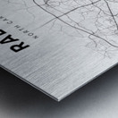 Raleigh portrait 2 3 Metal print