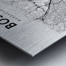 Boston portrait 2 3 Metal print