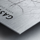 Gastonia portrait 2 3 Metal print