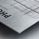 Phoenix portrait 2 3 Metal print