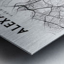 Alexandria portrait 2 3 Metal print