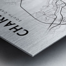 Charleston portrait 2 3 Metal print