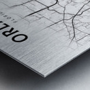 Orlando portrait 2 3 Metal print