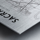 Sacramento portrait 2 3 Metal print