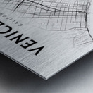 VeniceBeach portrait 2 3 Metal print