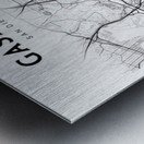 Gaslamp portrait 2 3 Metal print