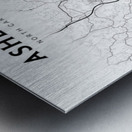 Asheville portrait 2 3 Metal print