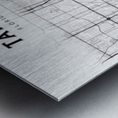 Tampa portrait 2 3 Metal print