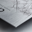 Cary portrait 2 3 Metal print