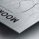 Mooresville portrait 2 3 Metal print