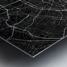 Paris 34x50Inches 5 Metal print