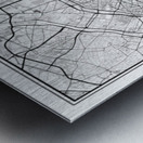 Paris portrait 2 3 Metal print