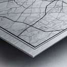 SanAntonio portrait 2 3 Metal print