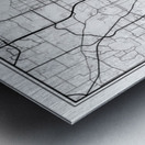 Orlando portrait 2 3 Metal print