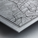 MexicoCity portrait 2 3 Metal print