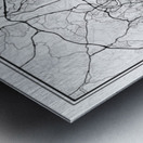 Rome portrait 2 3 Metal print