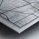 Denver portrait 2 3 Metal print