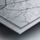 Austin portrait 2 3 Metal print