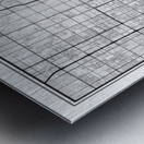 Phoenix portrait 2 3 Metal print