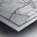 SanDiego portrait 2 3 Metal print