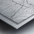 greensboro portrait 2 3 Metal print