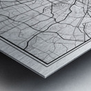 Baltimore portrait 2 3 Metal print