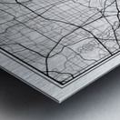 Dallas portrait 2 3 Metal print