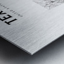 portrait 2 3 texas Metal print