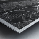 portrait 2 3 new york Metal print