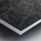 portrait 2 3 Houston Metal print