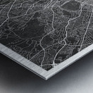 portrait 2 3 London Metal print