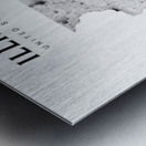 portrait 2 3 Illinois Metal print