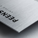 portrait 2 3 Peensylvania Metal print