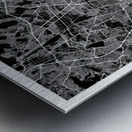 portrait 2 3 mexico city Metal print