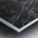 portrait 2 3 Vienna Metal print