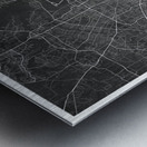 portrait 2 3 houston Metal print