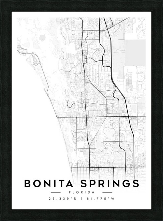 BonitaSprings portrait A Series Picture Frame Printing