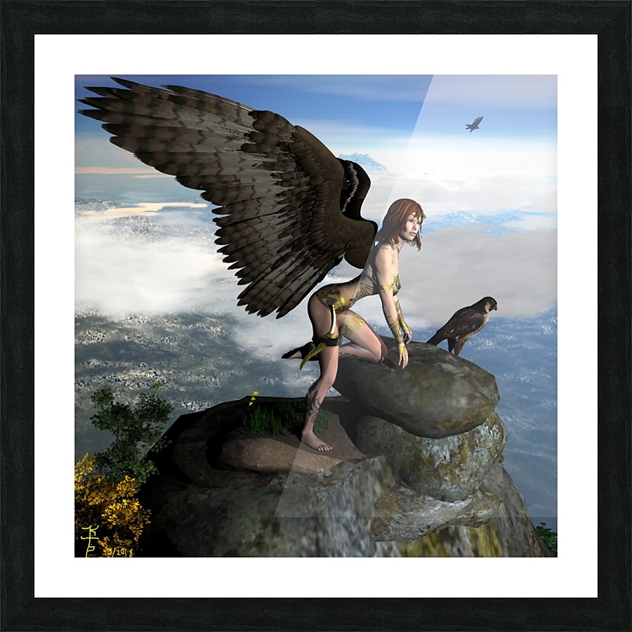 Sky Hunter Picture Frame print