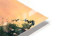 The Messenger HD Metal print