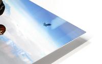 Sky Hunter HD Metal print