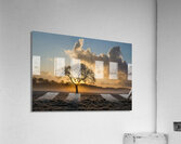 Lone tree Tree Oak Acrylic Print