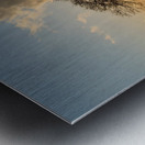 Lone tree Tree Oak Metal print