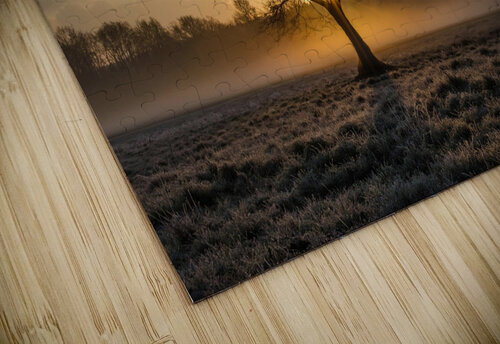 Lone tree Tree Oak Blakof puzzle