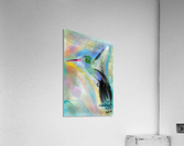 hummingbird Acrylic Print