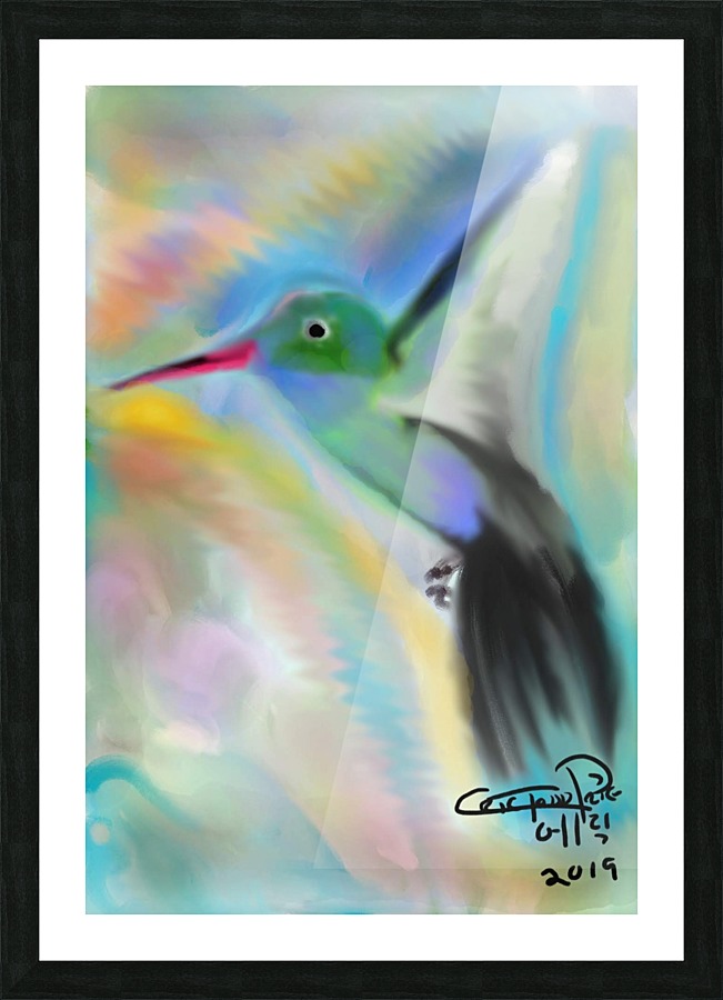 hummingbird Picture Frame print
