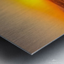  Camel walking on the sand Metal print