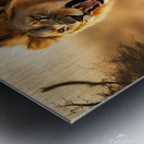  King of the jungle Metal print