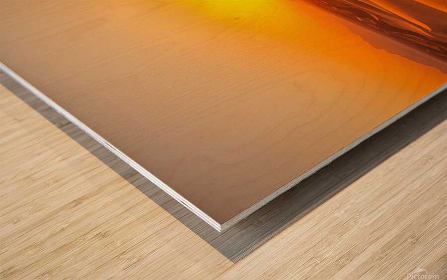  Camel walking on the sand Wood print